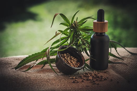 cbd-Image by Julia Teichmann from Pixabay